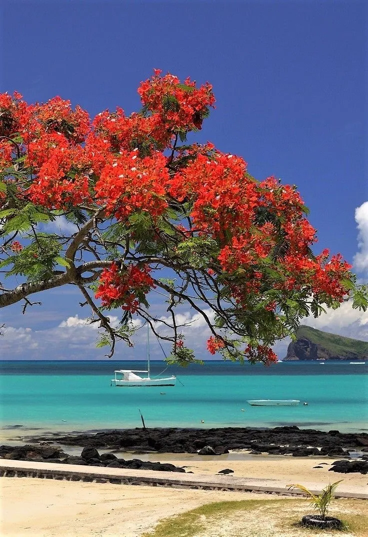 Mauritius